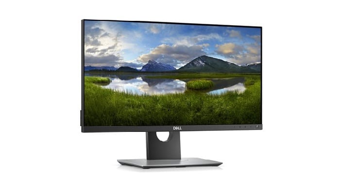 DELL Professional P2418D analisis