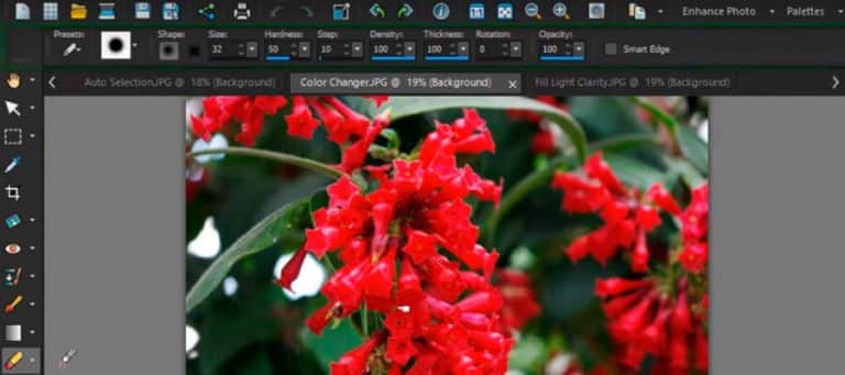 Corel PaintShop Pro X9