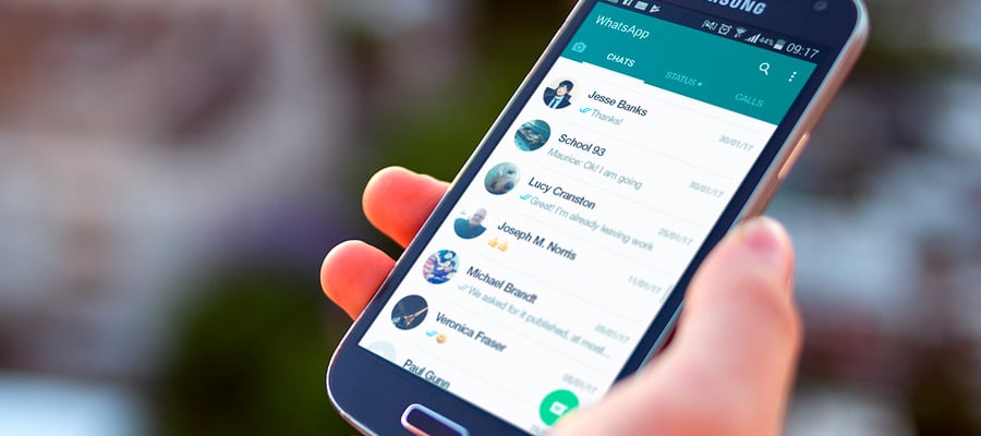 WhatsApp sniffer